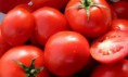 Cajón de tomates